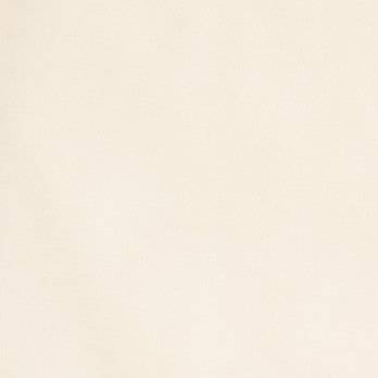 【COMING SOON】Solid net ジャケット 詳細画像