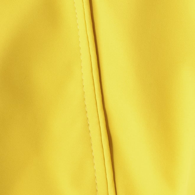 【COMING SOON】WL マウンテンパーカー 詳細画像 イエロー 8