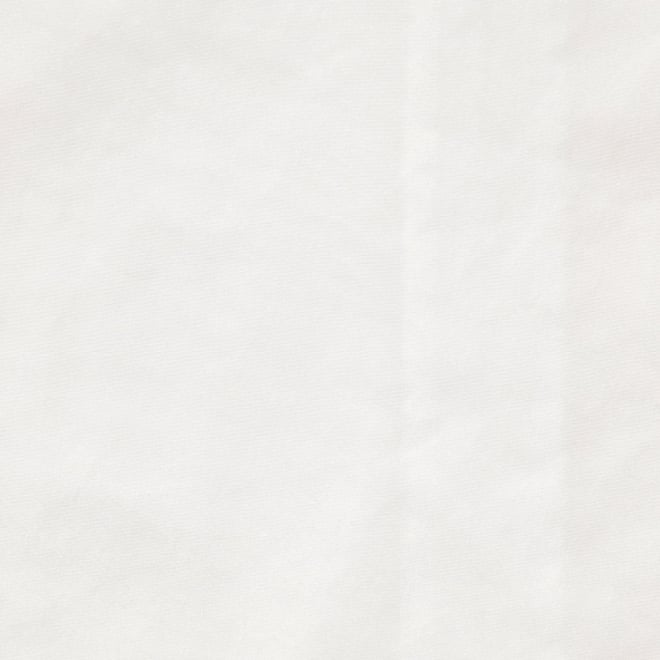 【COMING SOON】Flower embroidery shirt ブラウス 詳細画像 ホワイト 3