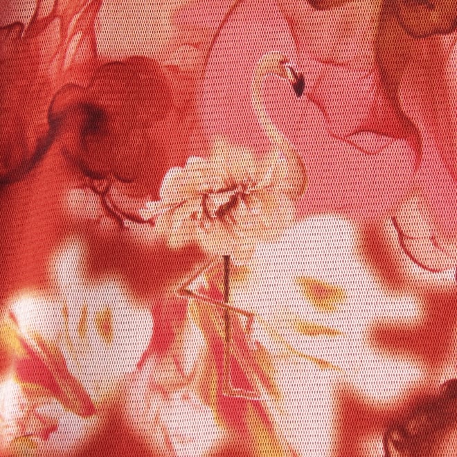 【COMING SOON】Flower flamingo print パンツ 詳細画像 赤系マルチ 9