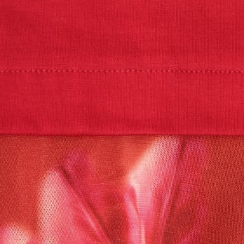 【COMING SOON】Docking flamingo Tシャツ 詳細画像