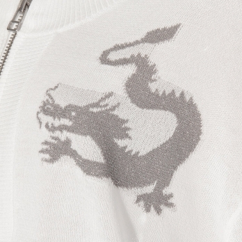 WLC UV強撚ドラゴンジップブルゾン 詳細画像