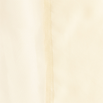 【COMING SOON】Sheer shirts ブラウス 詳細画像