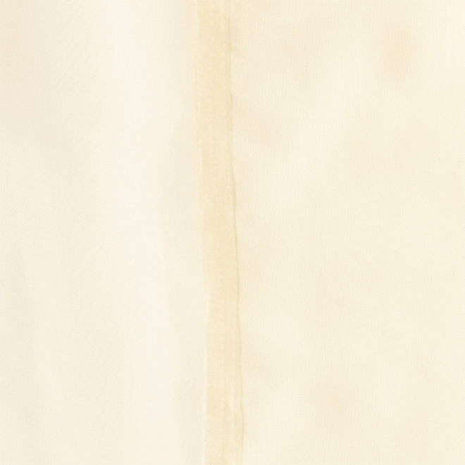 【COMING SOON】Sheer shirts ブラウス 詳細画像 ホワイト 4