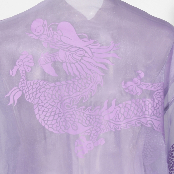 【COMING SOON】Sheer shirts ブラウス 詳細画像 パープル 4