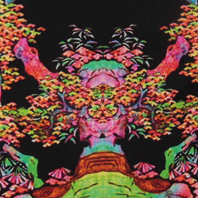 【COMING SOON】Bonsai pearl Inlaid print net ブラウス 詳細画像 黒系マルチ 2