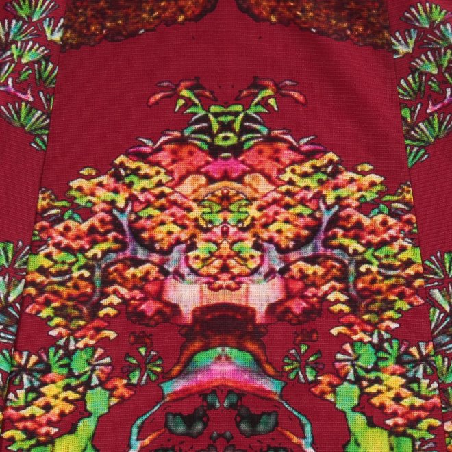 【COMING SOON】Bonsai pearl Inlaid print net ドレス 詳細画像 赤系マルチ 6