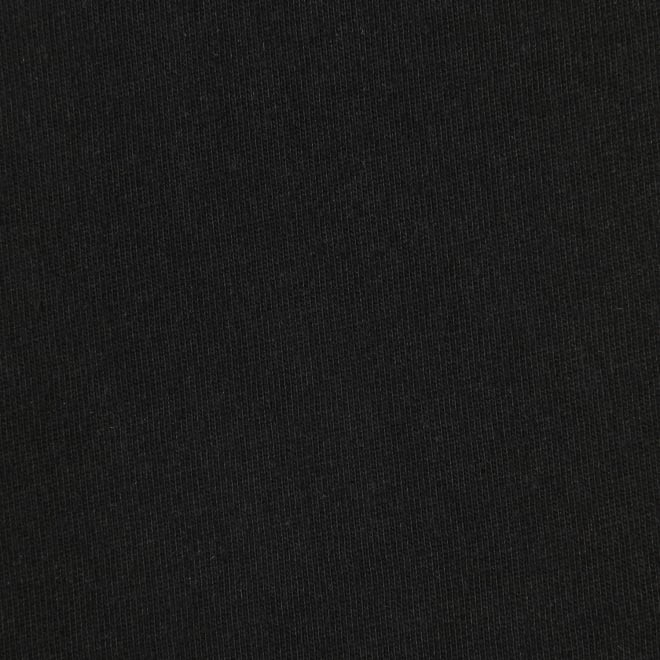 【COMING SOON】〈RDG〉ドラゴンワッペンTシャツ 詳細画像 ブラック 4