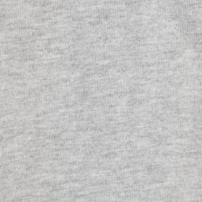 【COMING SOON】〈RDG〉ドラゴンワッペンTシャツ 詳細画像 ライトグレー 6