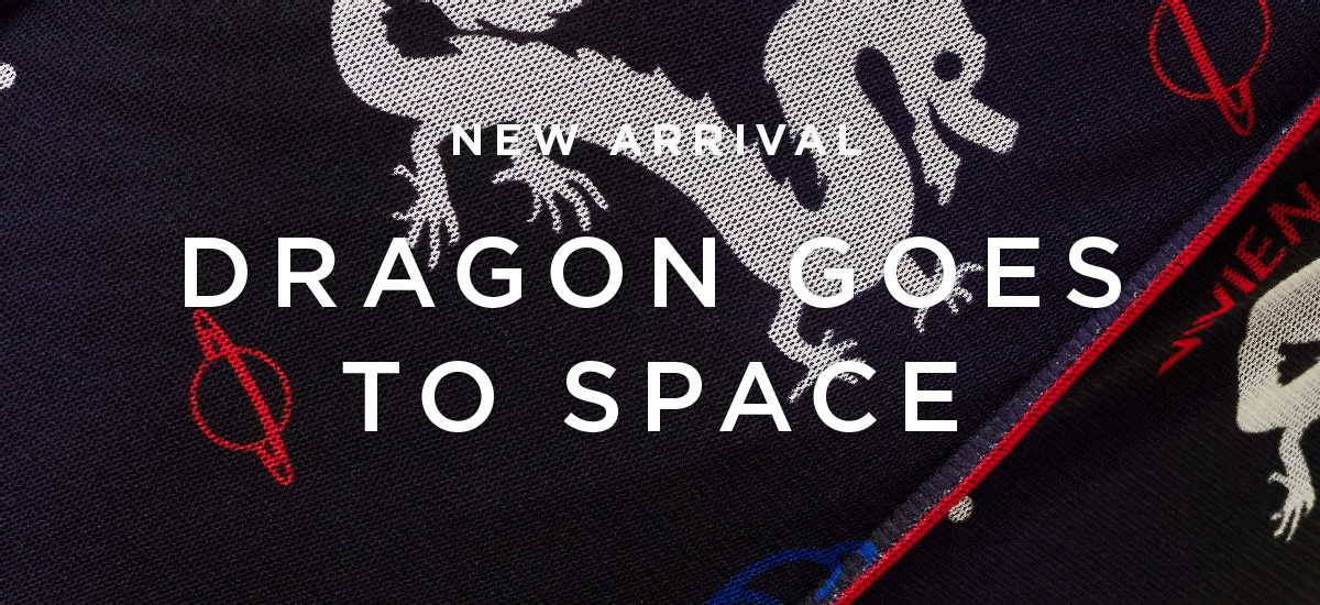 「DRAGON GOES TO SPACE」